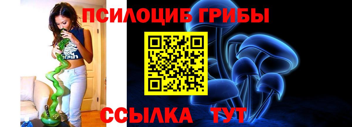 Галлюциногенные грибы MAGIC MUSHROOMS  Вход с VPN  Зеленогорск 